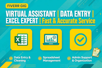 be your expert virtual assistant for data entry and excel