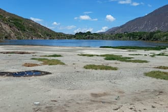 provide an environmental review and report