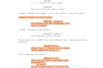 review and give notes on your screenplay