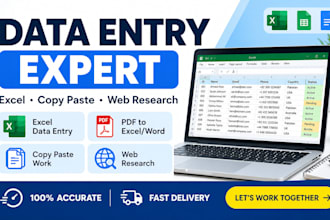 data entry data collection typing microsoft excel copy paste