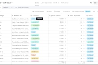 set up airtable relational databases, forms and data entry systems