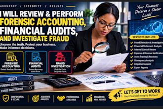 review and perform forensic accounting, investigate fraud and financial audit