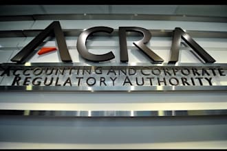 be your singapore nominee director for company registration