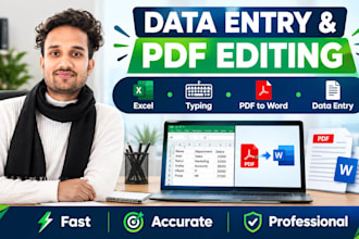 do data entry typing pfd editing and excell work