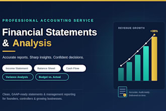 do professional financial analysis and reporting