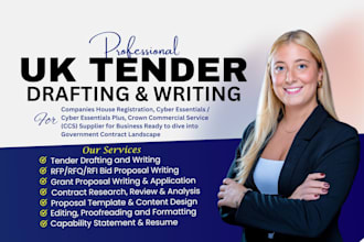 write UK and eu government contract tender and procurement bid proposal writing