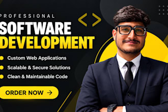 build web based software for businesses startups and online services