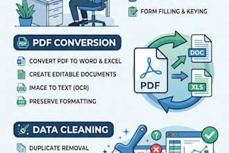 do data entry web research data cleaning pdf to excel transfer