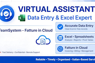 be your virtual assistant for data entry, excel and teamsystem
