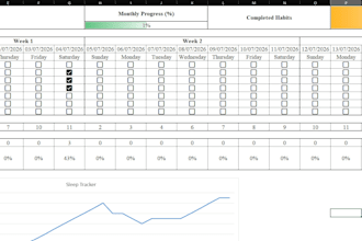 make excel spreadsheets to track budget and daily habits