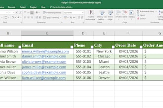 do accurate data entry and excel spreadsheet work