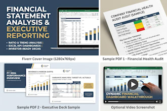 do financial statement analysis, ratio analysis and executive reporting