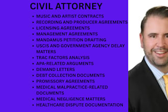 handle bankruptcy cases, debt disputes, insolvency, and financial recovery cases