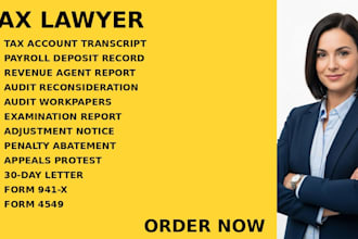 be your ny,ca,florida,georgia tax lawyer for irs audits and payroll tax disputes