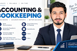 manage your accounts and financial records professionally