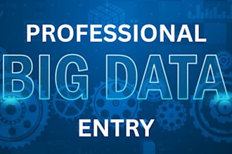big data entry bulk data collection ms excel