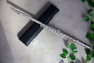 record trombone, sax,clarinet,didgeridoo, trumpet,tuba,flute,dizi,oboe for you