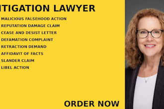 draft defamation pleadings, manage libel, slander and reputation dispute cases