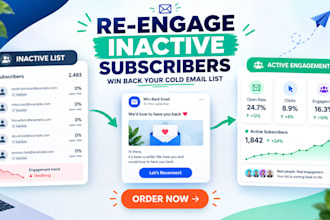create a re engagement email campaign to win back inactive subscribers