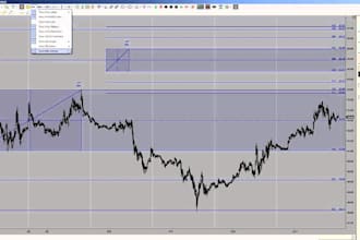 develop custom ninjatrader 8  indicators and workflow automation scripts