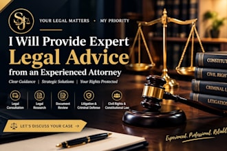 provide expert legal documents, contracts and advice case analysis litigation