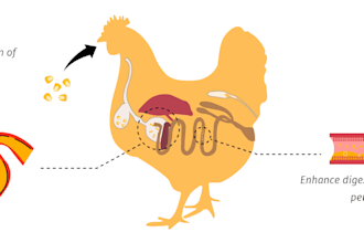 draw biological, medical, and agricultural mechanism diagrams for journals