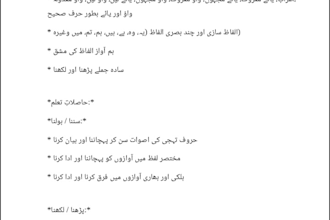 do professional urdu typing and data entry in ms word or inpage