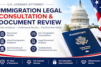 provide professional immigration legal consultation and document review