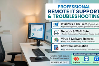 provide remote IT support, networking setup