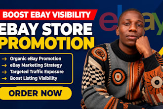 do organic ebay promotion to increase traffic and ebay sales