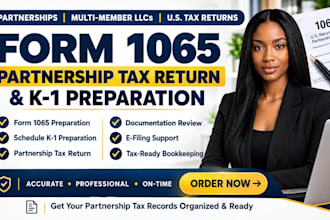 professionally prepare your US form 1065 partnership tax return with k1
