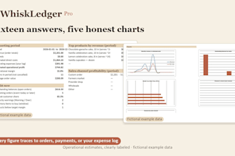 build a custom excel financial model, budget tracker, or dashboard
