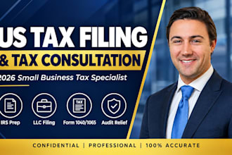 provide US tax filing small business tax preparation and tax consultation