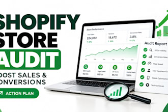 do shopify store audit