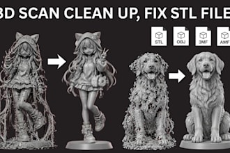 fix, repair, clean up and optimize broken 3d stl file scan file for 3d printing