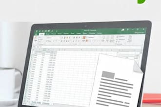 do fast, accurate data entry in excel, PDF to excel