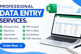 do accurate data entry excel copypaste and web research