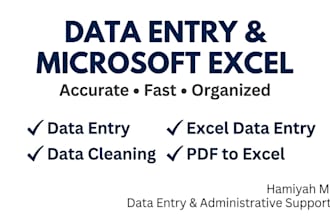 do accurate data entry and microsoft excel tasks