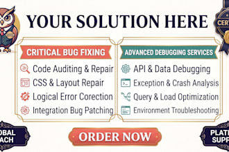 fix bugs, styling errors, and code issues in your website
