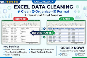 clean, format, organize and analyze your excel data