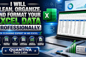 clean, organize, and format your excel data professionally