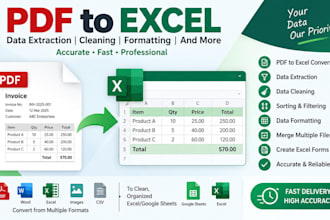 filter extract convert and organize data in excel and PDF
