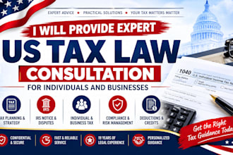 provide expert US tax law consultation for individuals and businesses