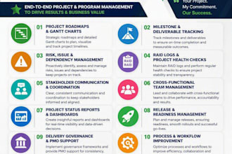 manage your IT projects and programs for successful delivery