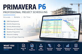 create a professional primavera p6 project schedule
