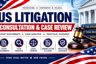 provide US litigation consultation and case review