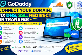 connect your domain, fix dns, SSL, redirect or transfer godaddy domain