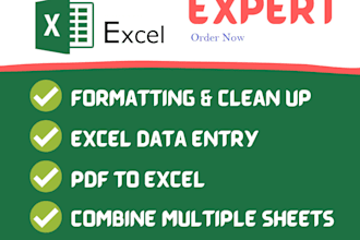 do excel data entry, cleaning, PDF to excel, data analysis and reporting