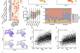 help you with bioinformatics analysis