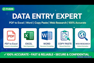 do data entry, copy paste, pdf to word and excel typing work